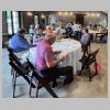 IMG_5507.gif